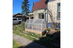 China 3m Anti mosquito screen 50 Mesh To Protect Vegetables Anti Bug Mesh supplier