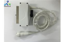 China CA123 Micro Convex Transducer , Convex Array Ultrasound Probe 3 MHz supplier