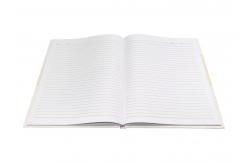 China Business Custom Hardback Notebook And Journals Perfect Edition All Sizes supplier