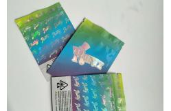 China Printing Hologram Pouch Plastic Pouches Packaging Moisture Proof For Candy supplier