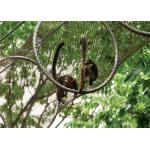 Galvanized Stainless Steel Zoo Mesh , Custom Size Animal Enclosure Netting for sale