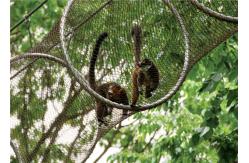 China Galvanized Stainless Steel Zoo Mesh , Custom Size Animal Enclosure Netting supplier