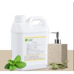 Shampoo Woody Fragrance Eucalyptus Mint Shampoo Fragrance For Making Shampoo