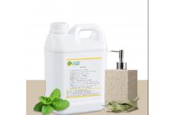 China Shampoo Woody Fragrance Eucalyptus Mint Shampoo Fragrance For Making Shampoo supplier