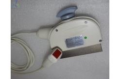 China GE 3S  Sector Array Ultrasound Transducer Probe For Hospital Medical Machine supplier