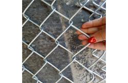 China Hevay Duty Galvanized Chain Link 6FT Tall Diamond Agricultural Fence supplier
