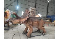 China Jurassic Park Animatronic Triceratops Model 5m supplier