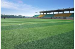 China Natural Garden Landscape Artificial Synthetic Turf Grass 14000 Dtex supplier