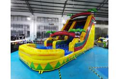 China ODM Jumping Bounce House Inflatable Water Slide With Pool supplier
