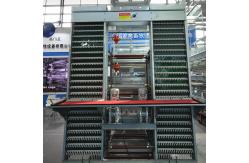 China 4m/Min Poultry Egg Collection System supplier