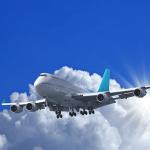 Fedex Global International Air Freight Forwarding Solutions China Shanghai To Brazil