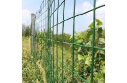 China Hot-dipped Galvanized Welded Wire Mesh Panel Fencing With PVC Coating supplier