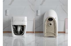 China Electronic Bidet Smart Intelligent Toilet Automatic Cleaner Seat supplier