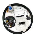 Natural Gas CNG LPG Conversion Kits For EFI Petrol Cars Multipoint Fuel Injection for sale