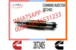 China Fuel Injector Assembly 2872544 2086663 2057401 2872405 203183 Common Rail Injector supplier
