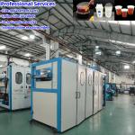 520mm Max Forming Width Plastic Thermoforming Machine for Ice Cream PP Cup and Iced Coffee Cups for sale