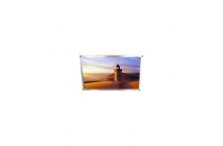 China AMS549HE38 5.5 inch 1080*1920 FHD LCD display OLED Screen supplier