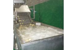 China 220V Industrial Automatic Fruit Washer Machine For Vegetable Fruit Processing supplier