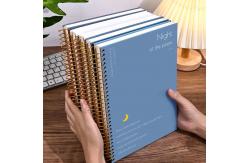 China A4 A5 A6 B5 Subject Blank Cover Notebook 128gsm 140gsm Thick Spiral Notebook supplier
