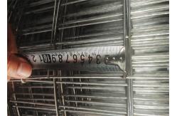 China New Product Welded Wire Mesh Fence 4x4 11 Gauge supplier