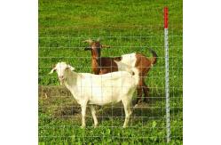 China ISO9001 Galvanized Cattle Farming Wire Mesh Fence 200m/Roll supplier