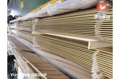 China C68700 Copper Alloy U-Tube For Chillers HVAC Systems Seamless supplier