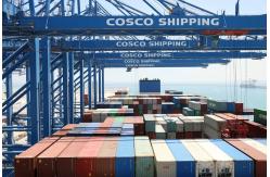 China Sea Freight From China To North American With Custom Clearance And Consolidation supplier