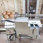 Automatic Egg Cleaner Washer Egg-Washing-Machine Chicken Duck Washer Egg Washing Machine