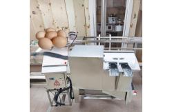 China Automatic Egg Cleaner Washer Egg-Washing-Machine Chicken Duck Washer Egg Washing Machine supplier