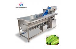 China Automatic Bubble Vortex Fruit and Vegetable Vegetable Washing Machine supplier