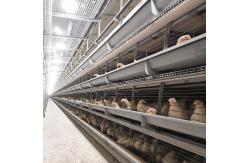 China ISO9001 Poultry Drinking System , 360degree Automatic Chicken Nipple Drinker supplier