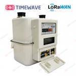 Smart Prepaid Gas Meter Energy Metering Solution LoRaWAN With Real Time Data Analysis And Visualization for sale