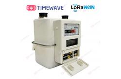 China IOT Smart Secure Gas Meter System For Gas Management And Conservation supplier