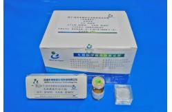China Sperm Hyaluronan Binding Assay Kit Diagnostic Tool Male Fertility Test Kit supplier
