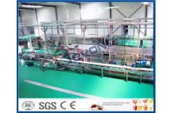 China High Efficiency Fruit Juice Processing Line Process Beverage Sterilizing Tunnel supplier