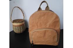 China washable kraft paper backpack supplier