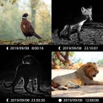 High Sensor Resolution Wildlife Camera 13MP Cmos Dual Lens Trail Camera