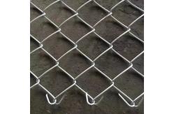 China Galvanized Chain Link Fence with Powder Coated Finish supplier