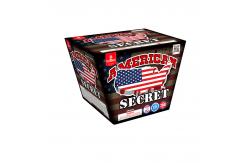 China 200G Dahlias Consumer Cake Fireworks 0.048CBM Chinese Pyrotechnics supplier