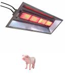 Natural Gas Ceramic Infrared Brooder Heater For Garage Or Workshop 4000pa for sale