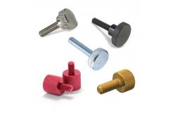 China SS201 Flat Head Electrical Screws , Grade 6.8 Brass Knurled Thumb Screw supplier