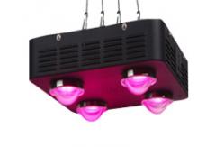 China AC85 - 265V Indoor LED Grow Light IP44 SMD2835 Full Spectrum Energy Saving supplier
