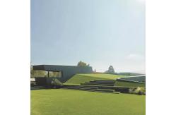 China 10mm Height Plastic Synthetic Turf Carpet Lawn Artificial Grass Landscape supplier
