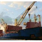 20t 30m Bulk Cargo Vessel Electric Stiff Boom Crane for sale