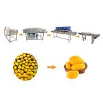 SS304 Vegetable And Fruit Washing Machine Mango Processing Line for sale
