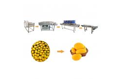 China SS304 Vegetable And Fruit Washing Machine Mango Processing Line supplier