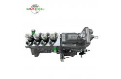 China Fuel Injection Pump 4933389 for 4BT3.9 Engine supplier
