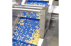 China The corn threshing washing blanching production line supplier