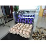 High Resolution With 600 DPI And High Speed Operation  Egg Jet Printer for sale