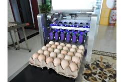China High Resolution With 600 DPI And High Speed Operation  Egg Jet Printer supplier